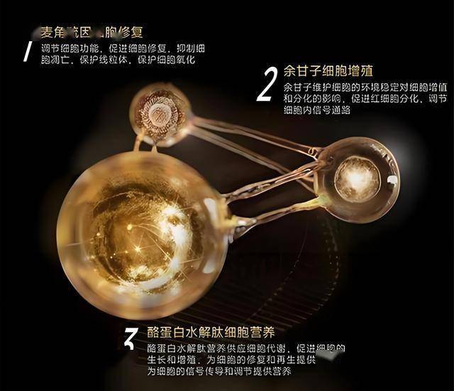 定州市房产公积金运维中心公告